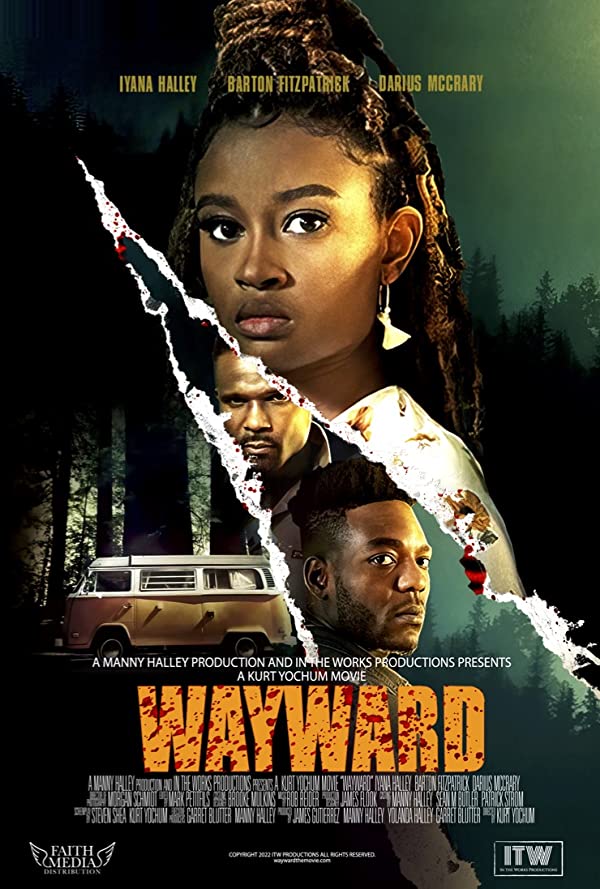 فیلم سرگردان Wayward