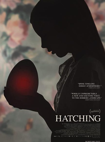 فیلم از تخم درامده Hatching