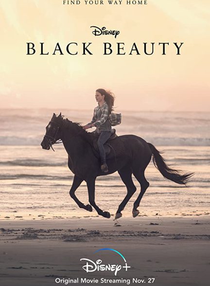 فیلم زیبای سیاه Black Beauty