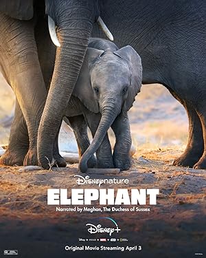 مستند فیل Elephant