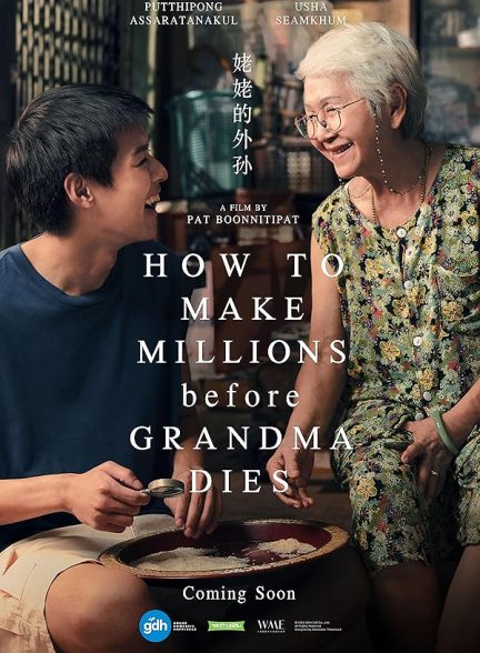 فیلم چطور قبل از مرگ مادربزرگ میلیونر شویم How to Make Millions Before Grandma Dies